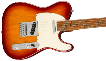 Fender Player Telecaster RSTD MN Sienna Sunburst по цене 107 800 ₽