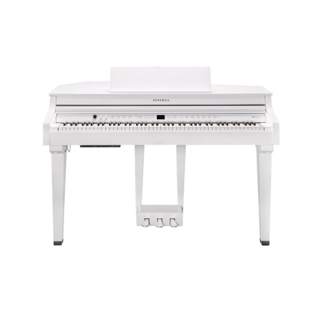 Kurzweil CUP G1W WHP по цене 361 860 ₽