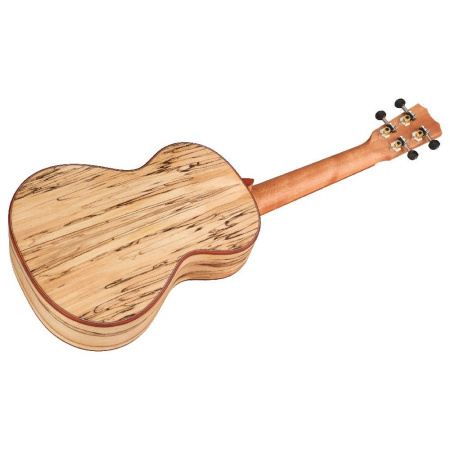 CORDOBA 24T Spruce по цене 25 850 ₽