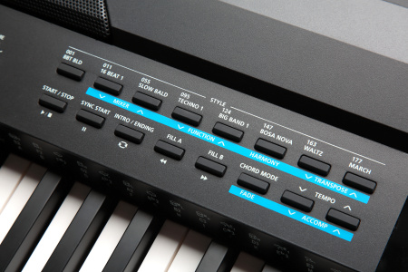 Kurzweil KA120 LB по цене 103 750 ₽