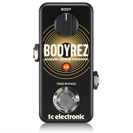TC Electronic BodyRez Acoustic Pickup Enhancer по цене 12 150 ₽