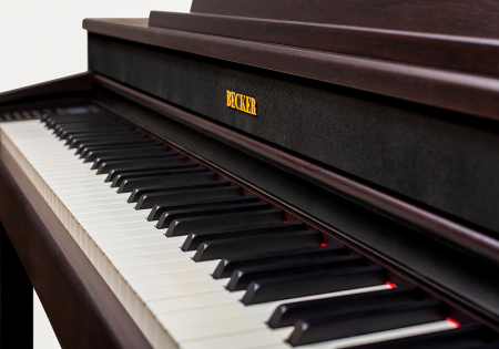 Becker BAP-62R по цене 146 150 ₽