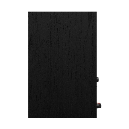 Klipsch R-40PM Black/GNM по цене 70 000 ₽