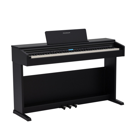 Rockdale Etude 256 BK по цене 59&nbsp;900.00 ₽