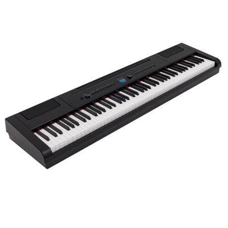 Rockdale Elegy Black по цене 34 900 ₽