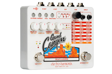 Electro-Harmonix Grand Canyon по цене 25 990 ₽