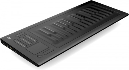 ROLI RISE 25 по цене 84 000 ₽