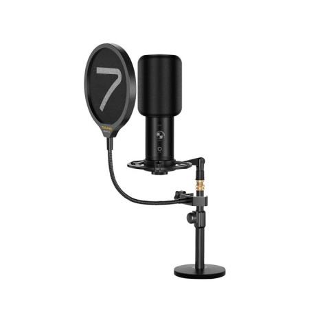 7Ryms SR-AU01-K2 по цене 9 000 ₽