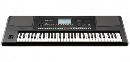 KORG Pa300 по цене 118 000 ₽