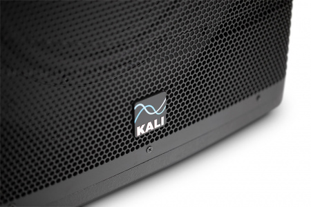 Kali Audio WS-12 по цене 92 000 ₽