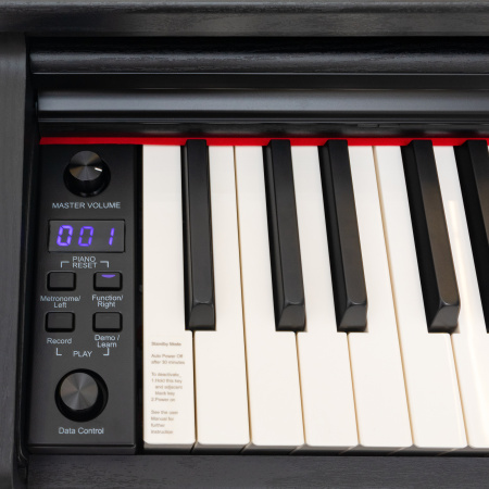Rockdale Etude 128 Graded Black по цене 59 900 ₽