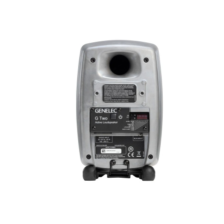 Genelec G Two BRwM по цене 55 950 ₽