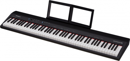 Roland GO-88P по цене 62 990 ₽