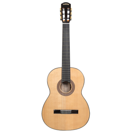 Cascha CGC310 Performer Series по цене 37 000 ₽