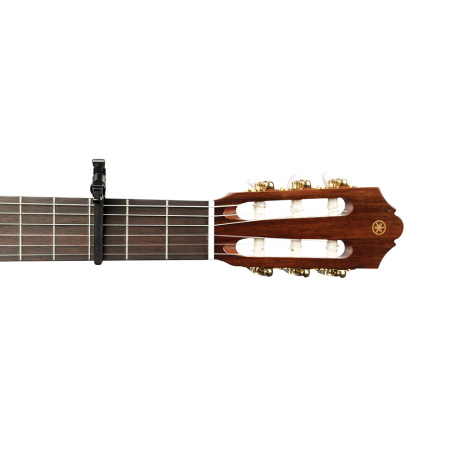 Planet Waves PW-CP-13 по цене 3 850 ₽