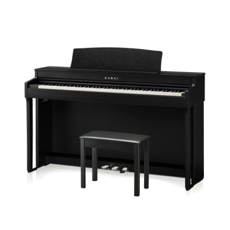 Kawai CN301 B по цене 250 800 ₽