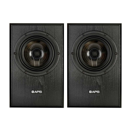 APS Coax 2 Black Pair по цене 146 200.00 ₽