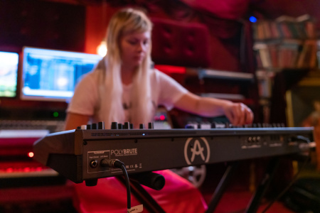 Arturia Polybrute по цене 399 000 ₽
