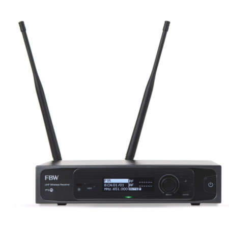 FBW P1R по цене 20 400 ₽