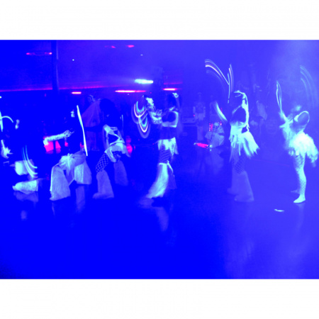 ADJ ECO UV BAR DMX по цене 26 200 ₽
