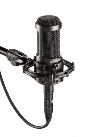 Audio-Technica AT2035 по цене 30 400 ₽