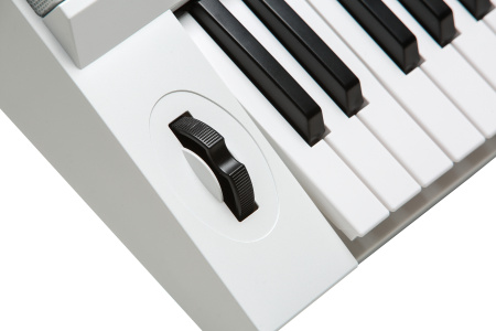 Kurzweil KP110 White по цене 32 400 ₽