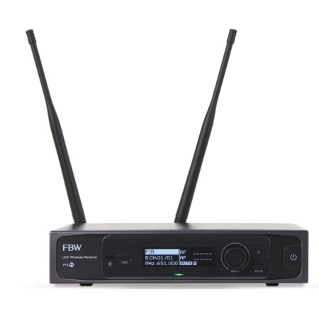 FBW P1R по цене 20 400 ₽