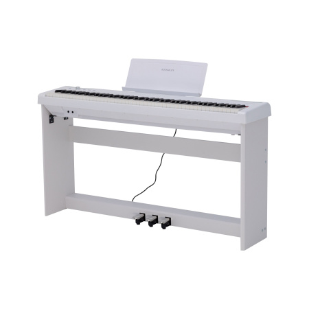 Rockdale Nocturne S 256 W по цене 49&nbsp;990.00 ₽