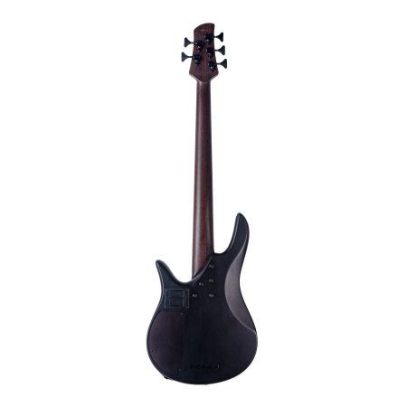 Spector Legend 5 Standard Black Stain по цене 74 860 ₽