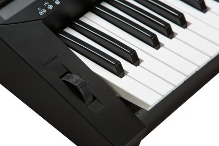 Kurzweil KP80 LB по цене 26 350 ₽