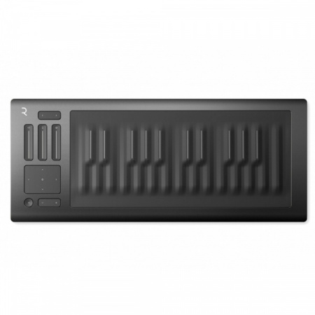 ROLI RISE 25 по цене 84 000 ₽