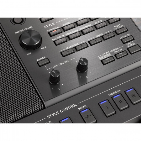 Yamaha PSR-SX900 по цене 331 200 ₽