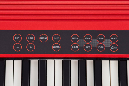 Roland GO-61K по цене 55 000 ₽