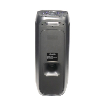 Microlab PT802W по цене 17 300 ₽