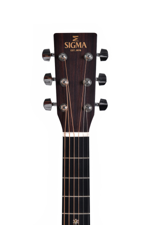 Sigma DT-1 по цене 42 100 ₽