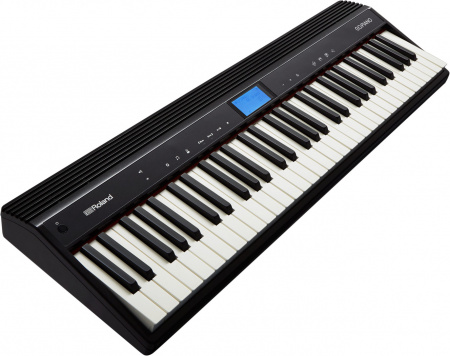 Roland GO-61P по цене 51 200 ₽
