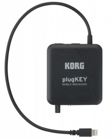 Korg PLUGKEY-BK по цене 8 100 ₽