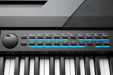 Kurzweil KA120 LB по цене 103 750 ₽