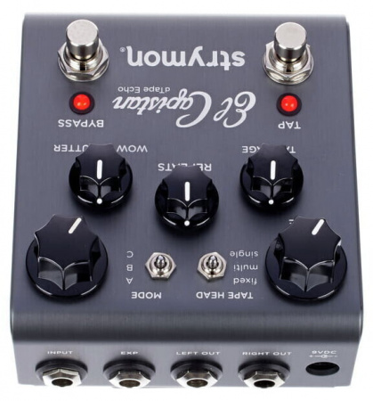 Strymon El Capistan dTape Delay по цене 39 600 ₽