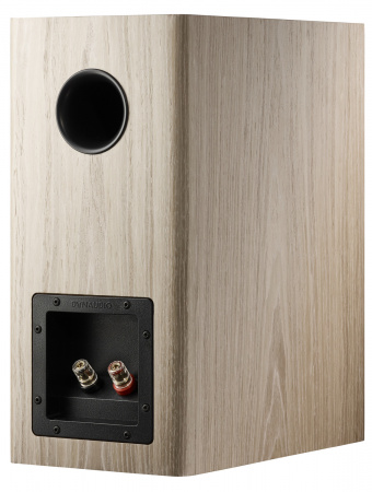 Dynaudio Evoke 20 Blonde Wood по цене 239 000 ₽