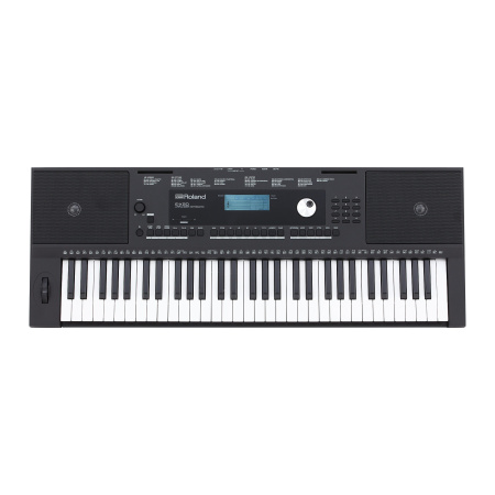 Roland E-X20 по цене 43 980 ₽