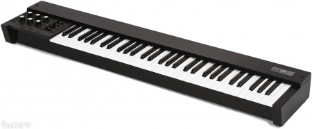 Moog 953 Duophonic 61 Note Keyboard - Black Cabinet по цене 120 650 ₽
