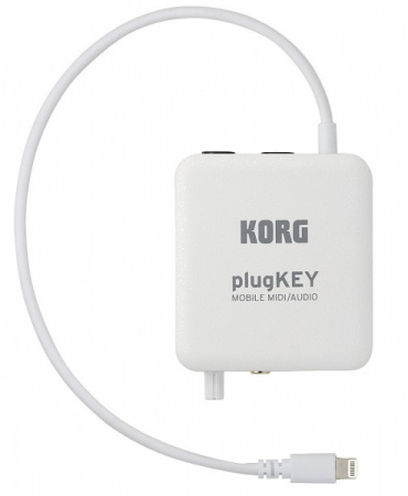 Korg PLUGKEY-WH по цене 8 100 ₽