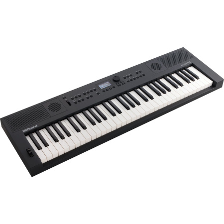 Roland Go:Keys 5 Graphite по цене 66 050 ₽