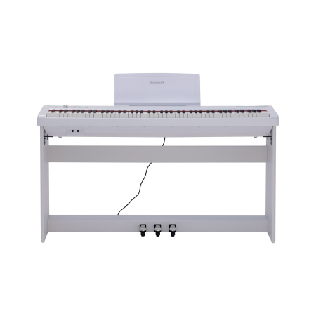 Rockdale Nocturne S 256 W по цене 49&nbsp;990.00 ₽