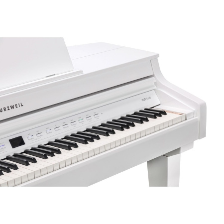 Kurzweil CUP G1W WHP по цене 361 860 ₽