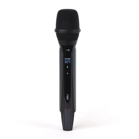 FBW P1H по цене 13 000 ₽