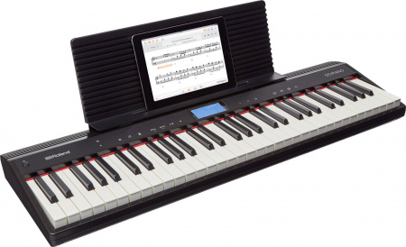 Roland GO-61P по цене 51 200 ₽