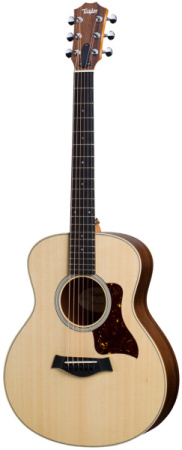 Taylor GS Mini Rosewood по цене 103 400 ₽