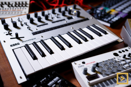 Korg Monologue-SV по цене 45 000 ₽